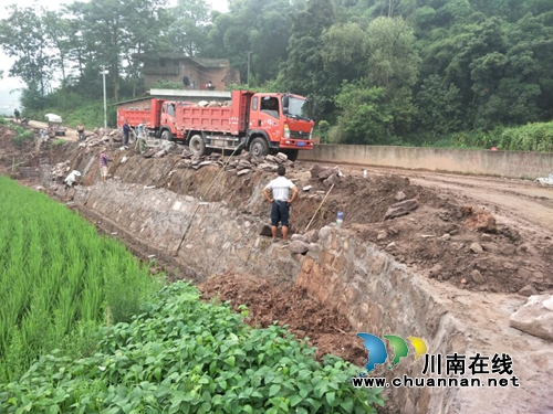 果子狸“东南飞”——合江县张白垇村产业扶贫(图4) 果子狸“东南飞”——合江县张白垇村产业扶贫(图4)