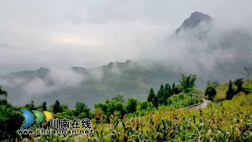 李定林: 一个山区农民的十二年感恩路(图4) 李定林: 一个山区农民的十二年感恩路(图4)