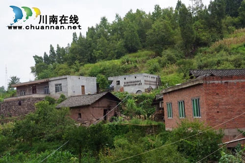 李定林: 一个山区农民的十二年感恩路(图5) 李定林: 一个山区农民的十二年感恩路(图5)