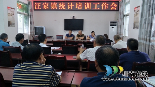 宜宾汪家镇积极开展统计培训提高数据质量(图1)