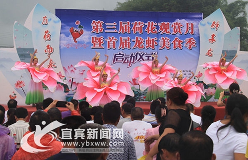 赏荷钓虾 长宁桃坪乡第三届荷花观赏月启动(图1) 赏荷钓虾 长宁桃坪乡第三届荷花观赏月启动(图1)