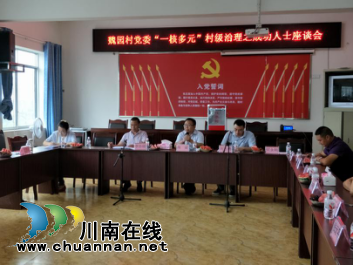 龙马潭区特兴镇魏园村党委组织召开“一核多元”村级治理暨成功人士座谈会(图3)