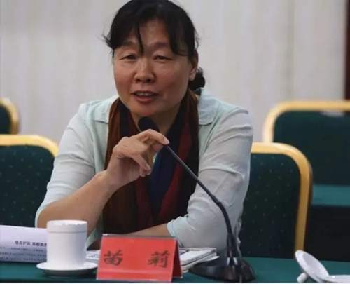 全国文学大咖“读”纳溪:长江码头千年古城(图15) 全国文学大咖“读”纳溪:长江码头千年古城(图15)