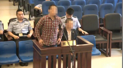 泸州版“光头强”受雇滥伐林木 最终锒铛入狱(图1) 泸州版“光头强”受雇滥伐林木 最终锒铛入狱(图1)