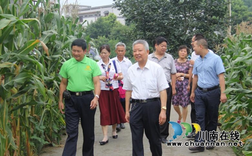 泸州市扶贫基金会会长梅兴岗到泸县云龙镇调研(图2) 泸州市扶贫基金会会长梅兴岗到泸县云龙镇调研(图2)