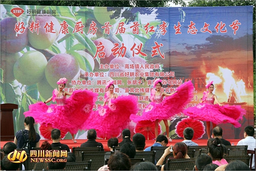 宜宾高场镇举办首届茵红李生态文化节(图1) 宜宾高场镇举办首届茵红李生态文化节(图1)