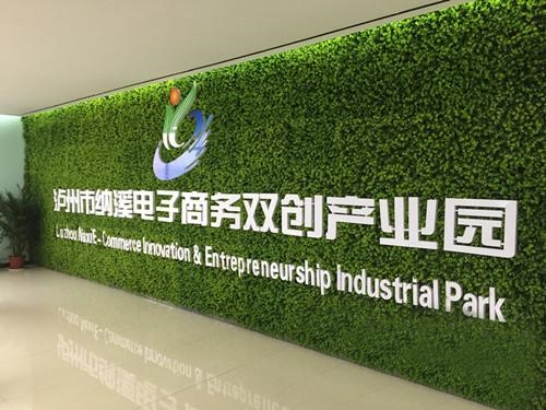 绿色通道&nbsp;激发泸州“双创”新活力(图6)