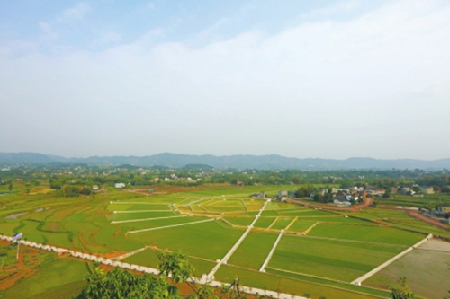 推进农村土改 泸县盘活“沉睡”的宅基地(图1) 推进农村土改 泸县盘活“沉睡”的宅基地(图1)