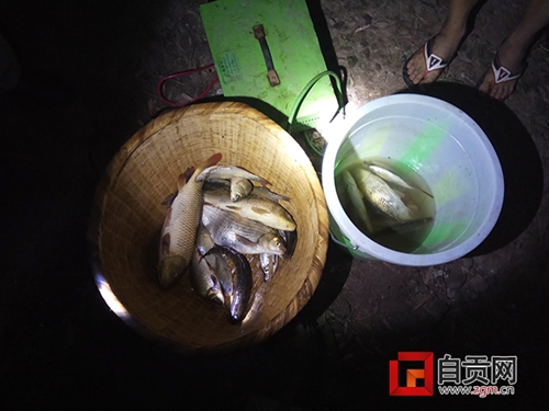 开车拖船走到哪电到哪&nbsp;自贡三名电鱼人被逮住(图4)