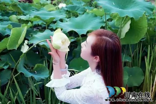 田玲：雨&nbsp;&nbsp;荷&nbsp;（美女作家的诗意情怀）(图5)