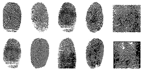 泸州民国时期身份证&nbsp;究竟藏着几多秘密？(图3)