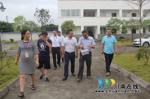 泸县云龙镇接受健康城市创建市级验收(图2) 泸县云龙镇接受健康城市创建市级验收(图2)