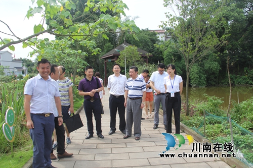 泸县云龙镇接受健康城市创建市级验收(图7) 泸县云龙镇接受健康城市创建市级验收(图7)