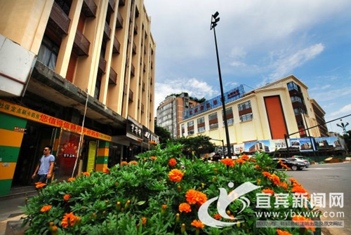 “创卫”成功！宜宾被命名为国家卫生城市(图1)