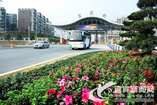 “创卫”成功！宜宾被命名为国家卫生城市(图2)