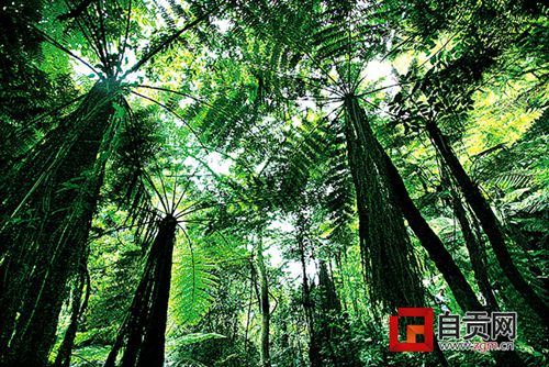 亿万年遗产集一园&nbsp;揭秘自贡世界地质公园扩园(图2)