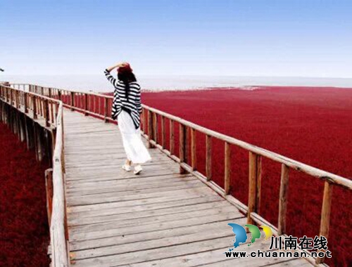 程度：谁获救了(图2)