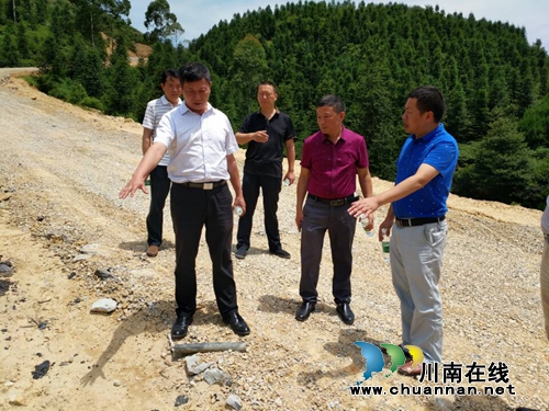 泸县常委杨双全率队督导石桥镇生态旅游项目推进情况(图1)