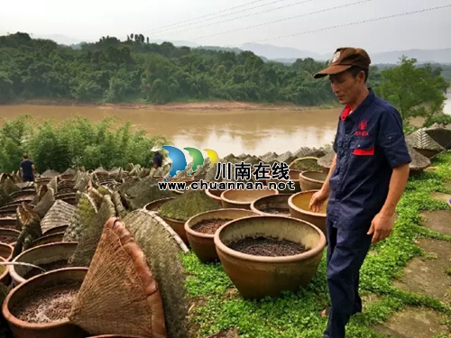 大国匠心,寻找你身边独一无二的酒城工匠(图3) 大国匠心,寻找你身边独一无二的酒城工匠(图3)