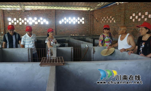 泸县立石镇:74岁老党员带动特色养殖致富之路(图1) 泸县立石镇:74岁老党员带动特色养殖致富之路(图1)