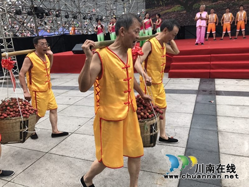 2017合江荔枝生态旅游节开幕(图3)