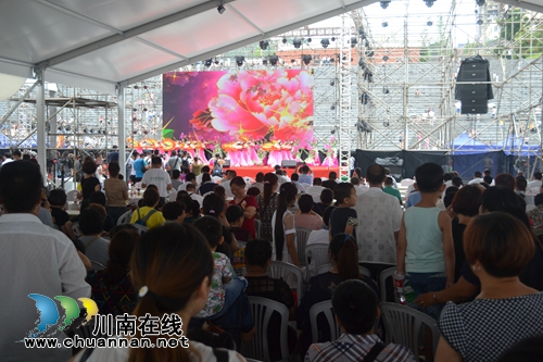 2017合江荔枝生态旅游节开幕(图5)