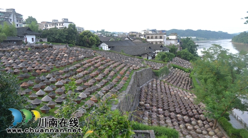 2017合江荔枝生态旅游节开幕(图14)