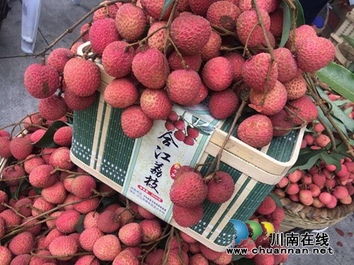 2017合江荔枝生态旅游节开幕(图11)