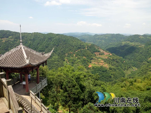 风过向林带酒香！沈酒集团扶贫打出“组合拳”(图11)