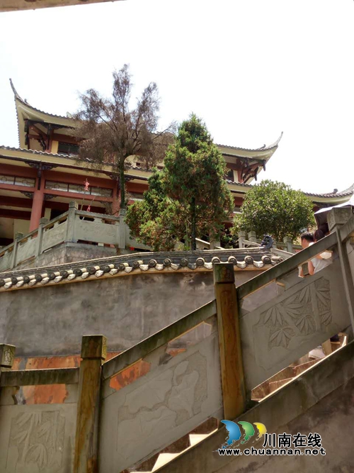 风过向林带酒香！沈酒集团扶贫打出“组合拳”(图10)