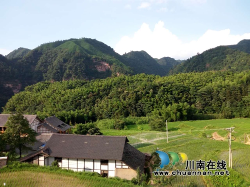 风过向林带酒香！沈酒集团扶贫打出“组合拳”(图17)