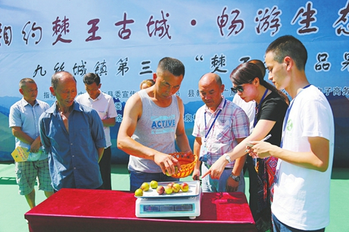 宜宾十颗“李子王”拍价2000元(图1) 宜宾十颗“李子王”拍价2000元(图1)