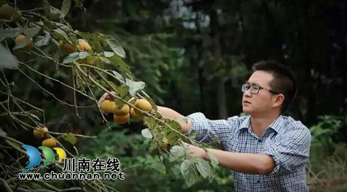 纳溪80后“第一书记”完成答卷作别第二故乡(图1)