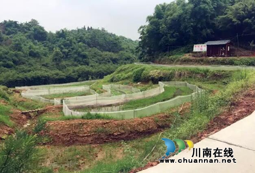 纳溪80后“第一书记”完成答卷作别第二故乡(图4)