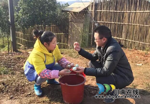 纳溪80后“第一书记”完成答卷作别第二故乡(图5)