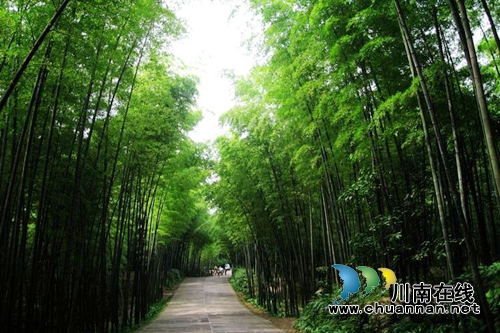 宜宾“智慧旅游”上线 吃住行游“全景地图”(图1) 宜宾“智慧旅游”上线 吃住行游“全景地图”(图1)