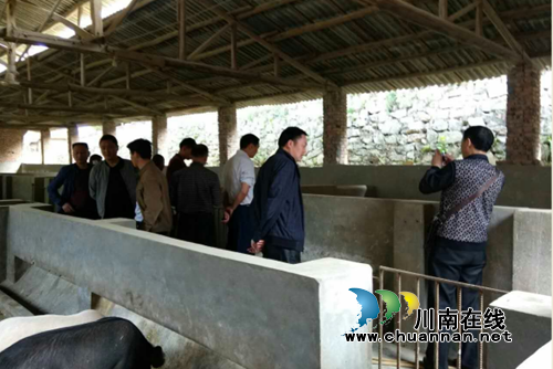 宜宾大观镇开展生猪养殖技术专业培训(图1) 宜宾大观镇开展生猪养殖技术专业培训(图1)