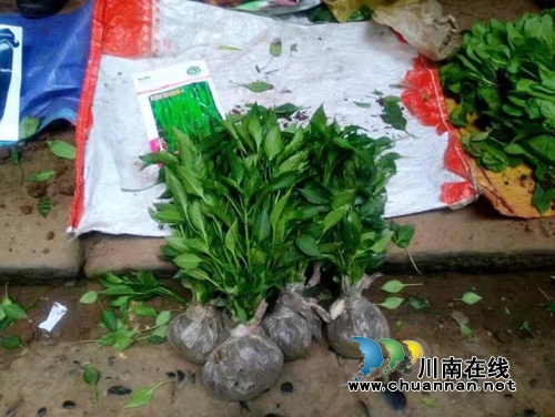李定林:想起乡间赶场来(图1) 李定林:想起乡间赶场来(图1)