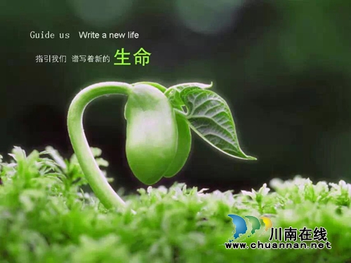 杨馨:风雨中(图2) 杨馨:风雨中(图2)