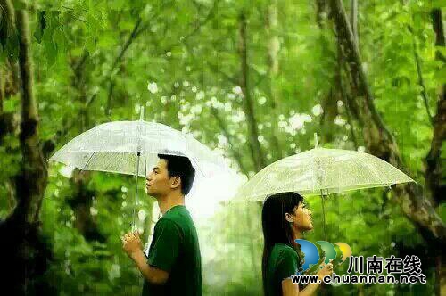 杨馨:风雨中(图3) 杨馨:风雨中(图3)