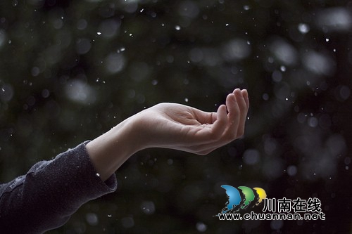 杨馨:风雨中(图4) 杨馨:风雨中(图4)