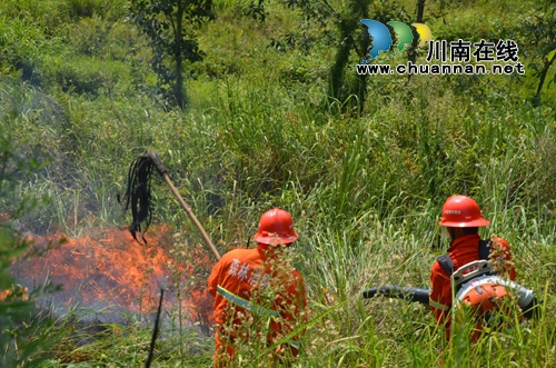 泸县：变压器引发山火&nbsp;警民齐力降“火魔”(图2)