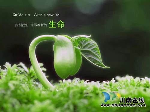上官燕:母 亲 (外一首)(图1) 上官燕:母 亲 (外一首)(图1)
