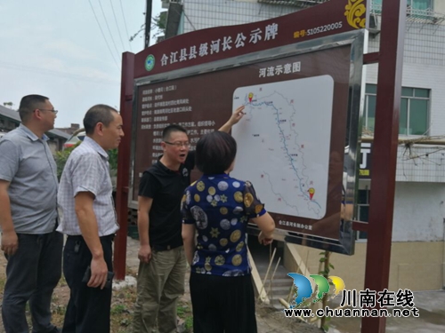 合江县领导到南滩镇调研河长制工作(图1)