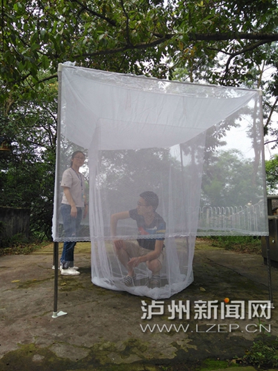 泸州持续高温连蚊子都"热死"了(图2)