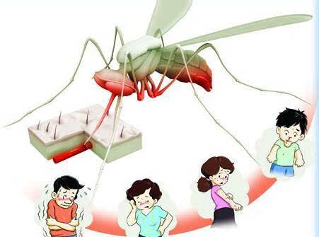 泸州持续高温连蚊子都"热死"了(图3)