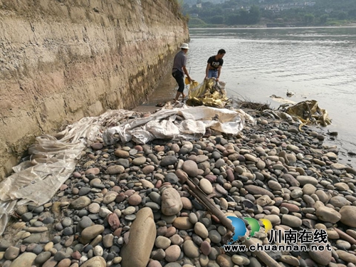 特兴镇桐兴村组织党员志愿者开展河道环境卫生综合治理行动(图3)
