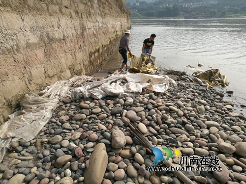 龙马潭桐兴村开展河道环境卫生综合治理行动(图3) 龙马潭桐兴村开展河道环境卫生综合治理行动(图3)