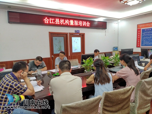 合江县残联召开“机构量服”培训会(图1)