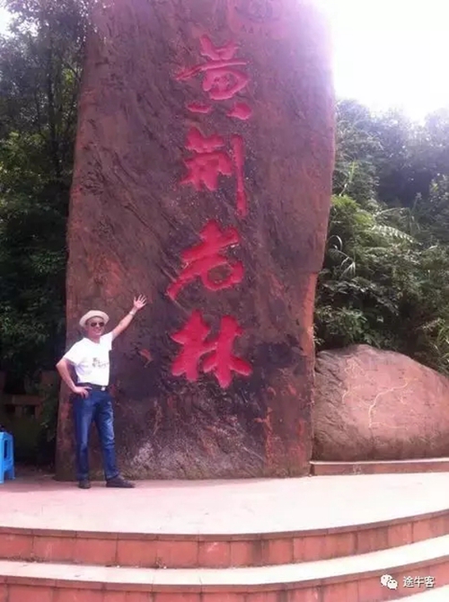 我们有黄荆(图1) 我们有黄荆(图1)